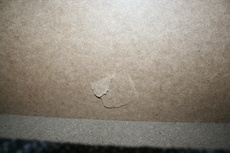 Img 9776