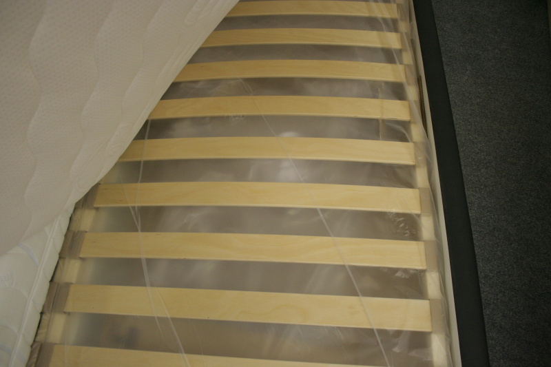 Img 1565